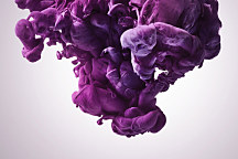obraz fialová farba